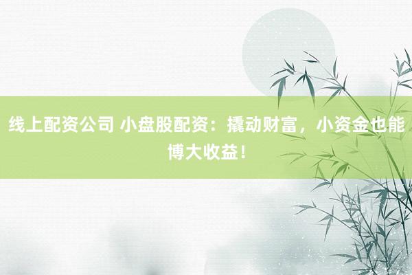 线上配资公司 小盘股配资:撬动财富,小资金也能博大收益!