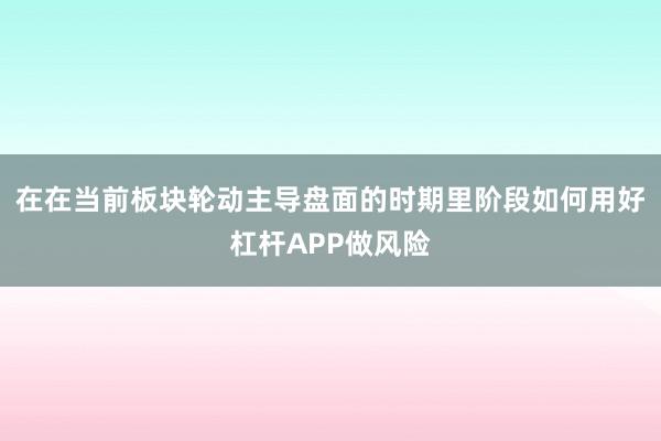 在在当前板块轮动主导盘面的时期里阶段如何用好杠杆APP做风险