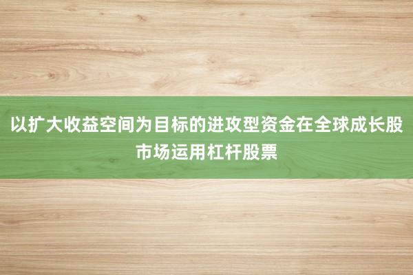 以扩大收益空间为目标的进攻型资金在全球成长股市场运用杠杆股票