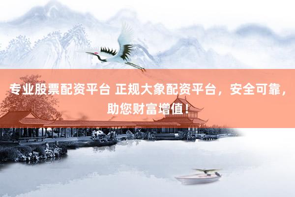 专业股票配资平台 正规大象配资平台，安全可靠，助您财富增值！