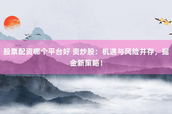 股票配资哪个平台好 资炒股：机遇与风险并存，掘金新策略！