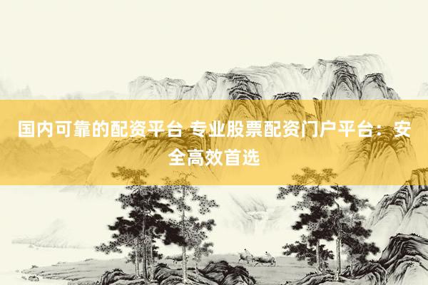 国内可靠的配资平台 专业股票配资门户平台：安全高效首选