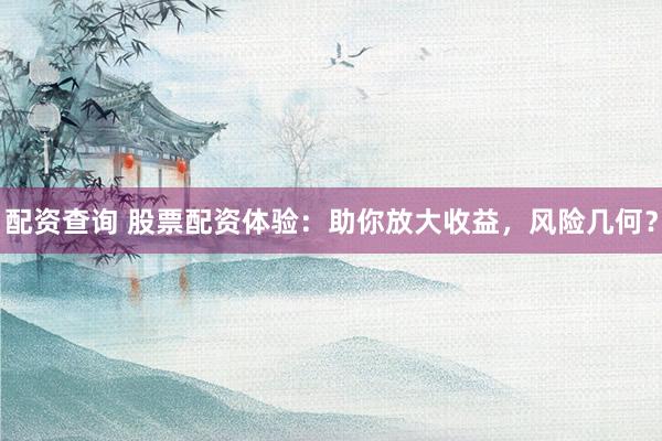 配资查询 股票配资体验：助你放大收益，风险几何？